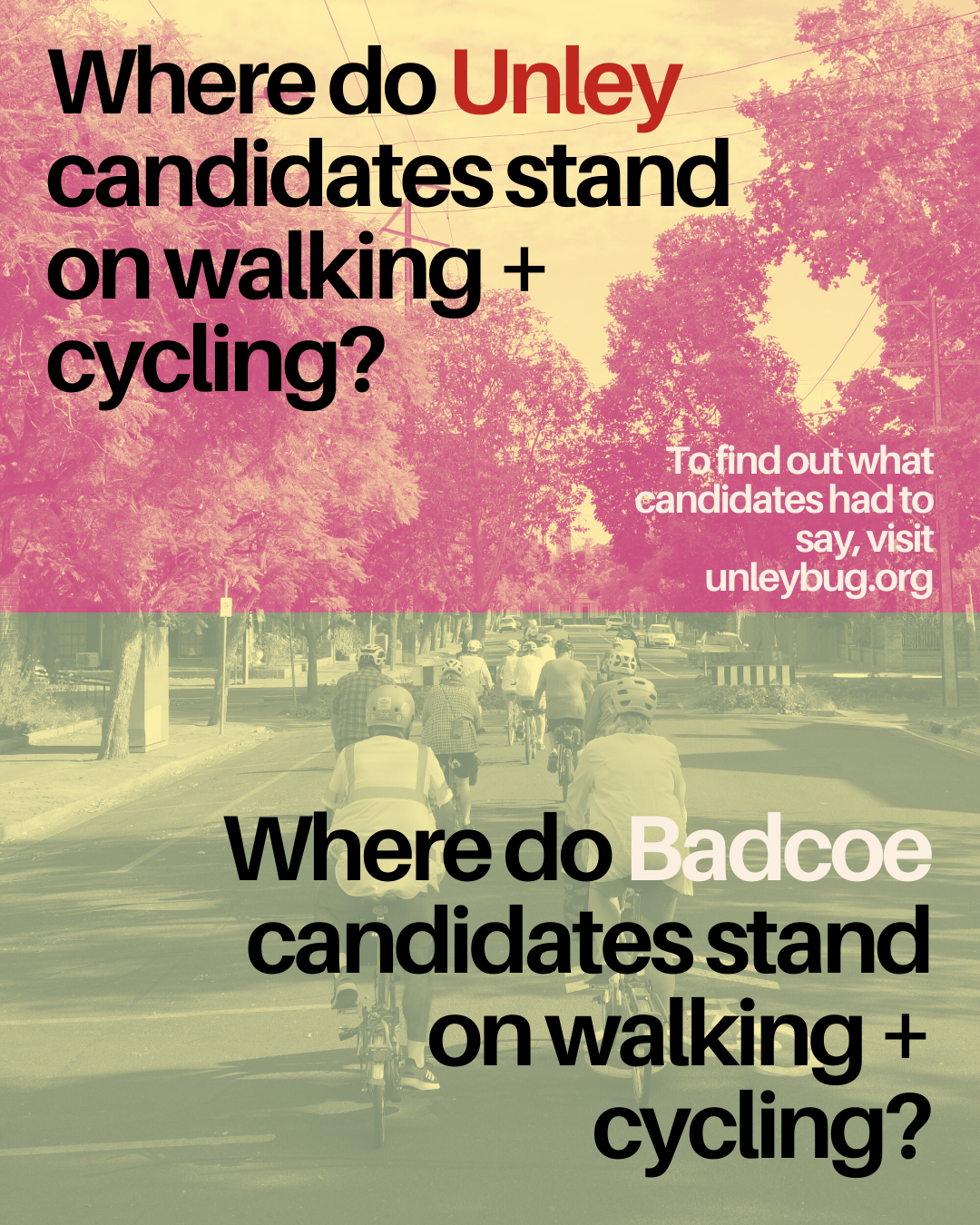 State Election 2026: What do Unley/Badcoe candidates think of walking and cycling?